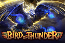 Bird of Thunder-Habanero