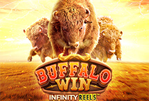 Buffalo Win-PG Soft
